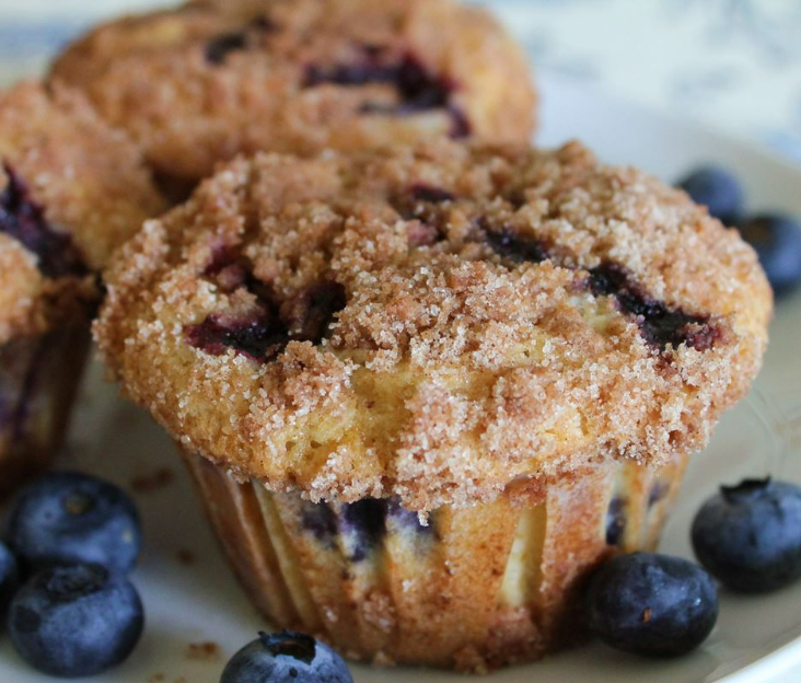 blueberry muffin recepies